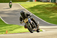 Middle Group Blue Bikes